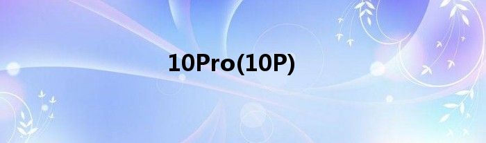 10Pro(10P)