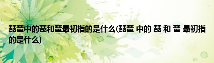 琵琶中的琵和琶最初指的是什么(琵琶 中的 琵 和 琶 最初指的是什么)