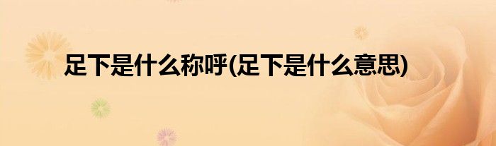 足下是什么称呼(足下是什么意思)