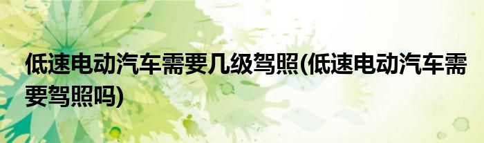 低速电动汽车需要几级驾照(低速电动汽车需要驾照吗)
