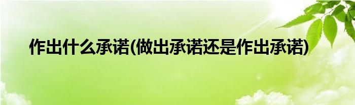 作出什么承诺(做出承诺还是作出承诺)
