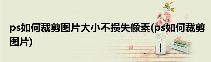 ps如何裁剪图片大小不损失像素(ps如何裁剪图片)