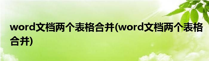 word文档两个表格合并(word文档两个表格合并)