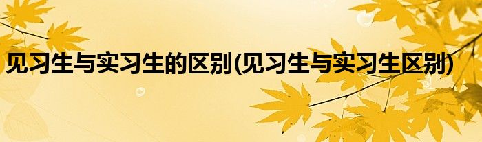 见习生与实习生的区别(见习生与实习生区别)