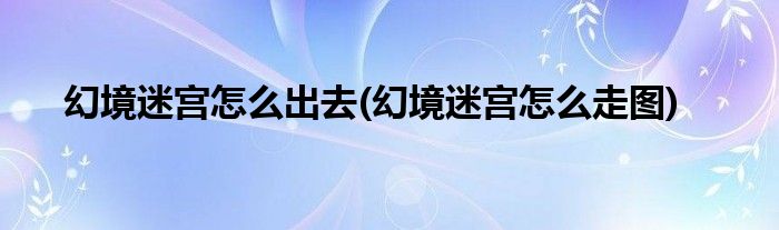 幻境迷宫怎么出去(幻境迷宫怎么走图)