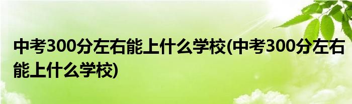 中考300分左右能上什么学校(中考300分左右能上什么学校)