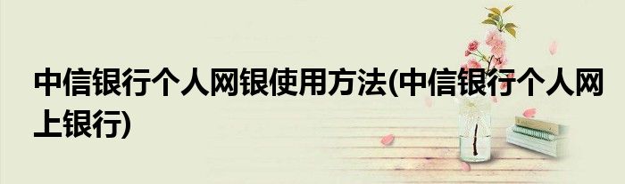 中信银行个人网银使用方法(中信银行个人网上银行)