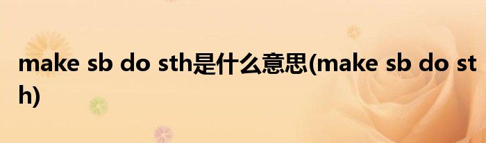 make sb do sth是什么意思(make sb do sth)