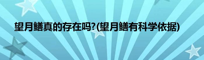 望月鳝真的存在吗?(望月鳝有科学依据)