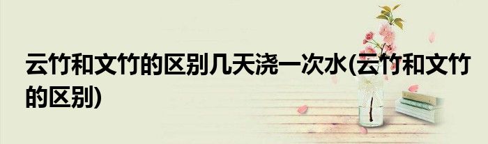 云竹和文竹的区别几天浇一次水(云竹和文竹的区别)