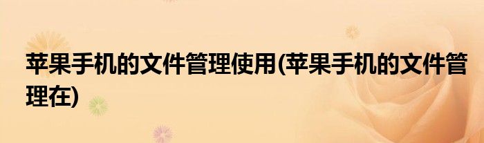 苹果手机的文件管理使用(苹果手机的文件管理在)