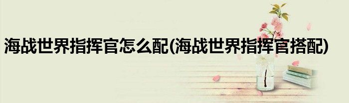 海战世界指挥官怎么配(海战世界指挥官搭配)