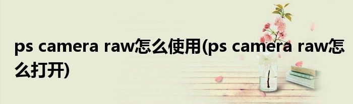 ps camera raw怎么使用(ps camera raw怎么打开)