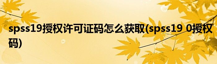 spss19授权许可证码怎么获取(spss19 0授权码)