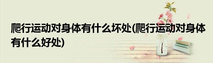 爬行运动对身体有什么坏处(爬行运动对身体有什么好处)