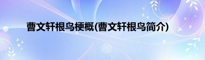 曹文轩根鸟梗概(曹文轩根鸟简介)