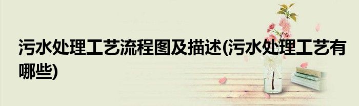污水处理工艺流程图及描述(污水处理工艺有哪些)