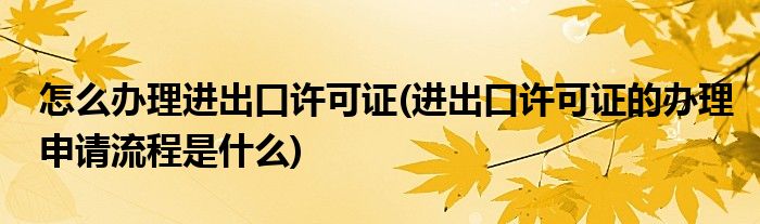 怎么办理进出口许可证(进出口许可证的办理申请流程是什么)