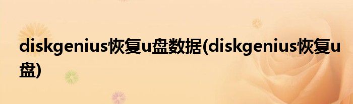 diskgenius恢复u盘数据(diskgenius恢复u盘)