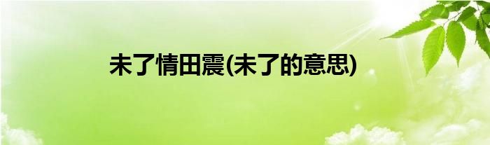 未了情田震(未了的意思)