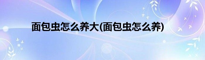 面包虫怎么养大(面包虫怎么养)