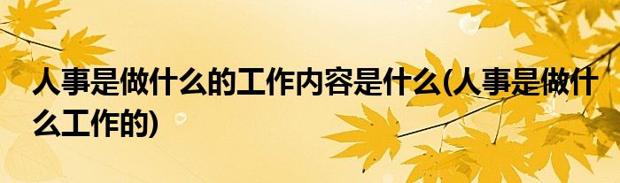 绚丽的人事专员是做什么的图像