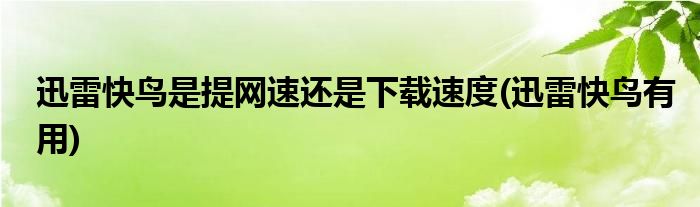 迅雷快鸟是提网速还是下载速度(迅雷快鸟有用)