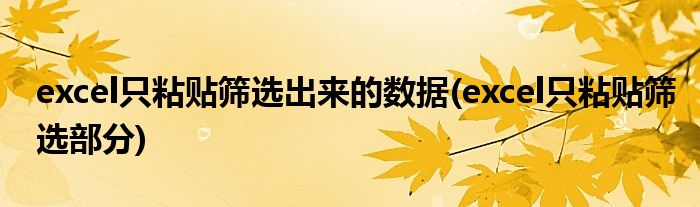 excel只粘贴筛选出来的数据(excel只粘贴筛选部分)