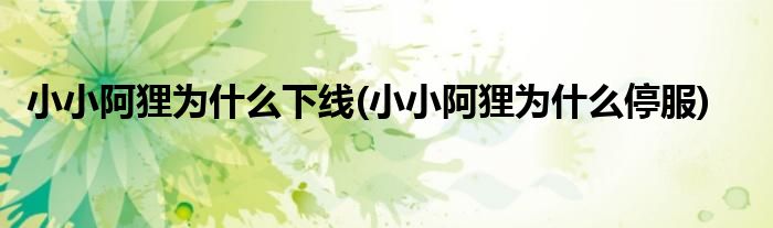 小小阿狸为什么下线(小小阿狸为什么停服)