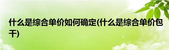 什么是综合单价如何确定(什么是综合单价包干)