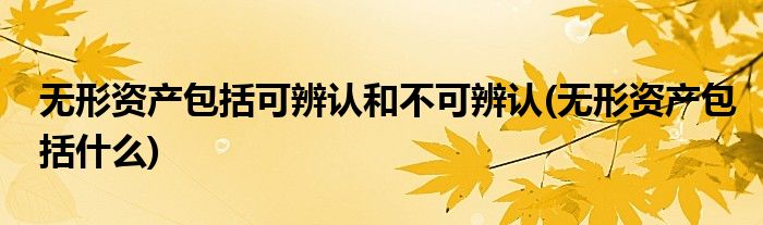 无形资产包括可辨认和不可辨认(无形资产包括什么)