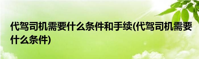 代驾司机需要什么条件和手续(代驾司机需要什么条件)