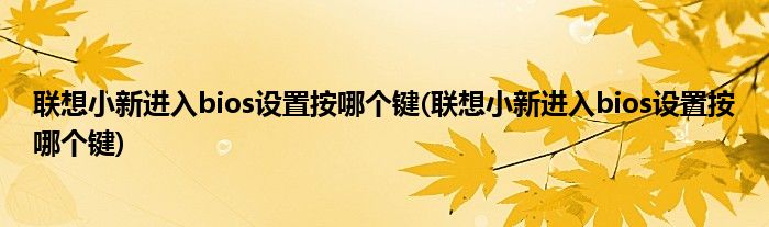 联想小新进入bios设置按哪个键(联想小新进入bios设置按哪个键)