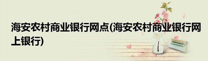 海安农村商业银行网点(海安农村商业银行网上银行)
