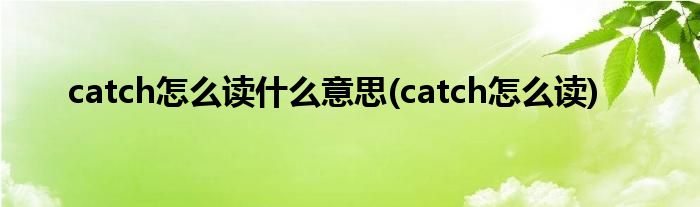 catch怎么读什么意思(catch怎么读)