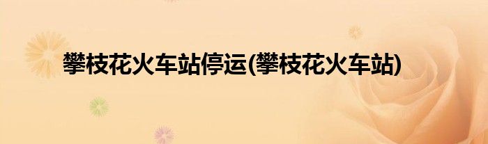 攀枝花火车站停运(攀枝花火车站)