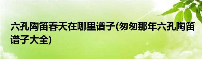 六孔陶笛春天在哪里谱子(匆匆那年六孔陶笛谱子大全)