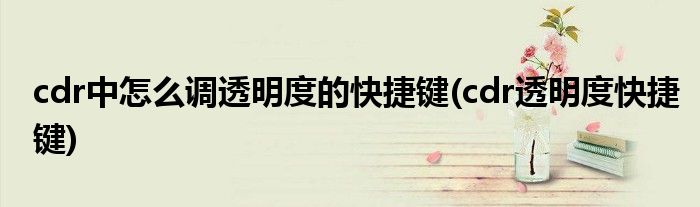 cdr中怎么调透明度的快捷键(cdr透明度快捷键)