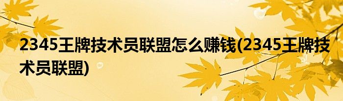 2345王牌技术员联盟怎么赚钱(2345王牌技术员联盟)