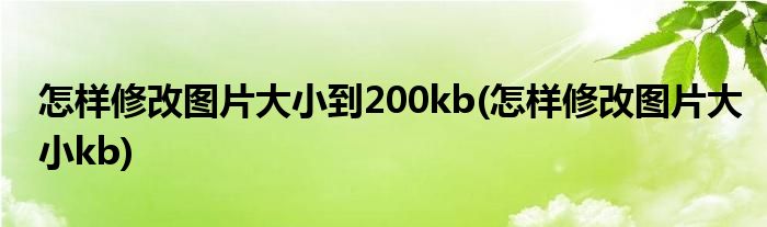 怎样修改图片大小到200kb(怎样修改图片大小kb)