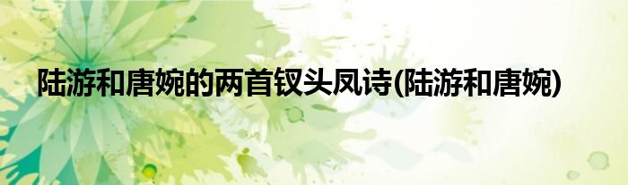 陆游和唐婉的两首钗头凤诗(陆游和唐婉)