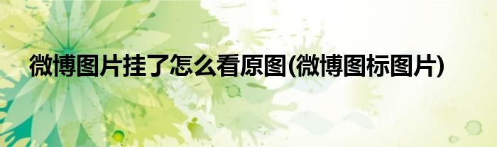 微博图片挂了怎么看原图(微博图标图片)