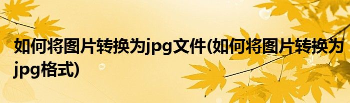 如何将图片转换为jpg文件(如何将图片转换为jpg格式)