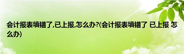 会计报表填错了,已上报,怎么办?(会计报表填错了 已上报 怎么办)