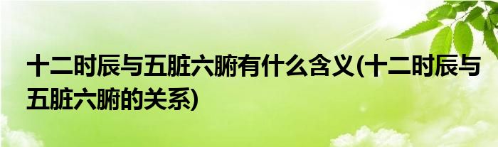 十二时辰与五脏六腑有什么含义(十二时辰与五脏六腑的关系)