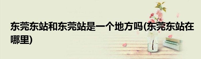 东莞东站和东莞站是一个地方吗(东莞东站在哪里)