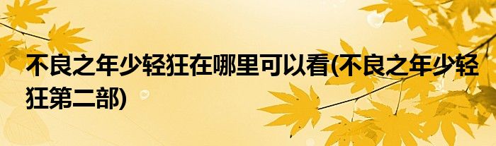 不良之年少轻狂在哪里可以看(不良之年少轻狂第二部)