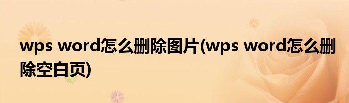 wps word怎么删除图片(wps word怎么删除空白页)