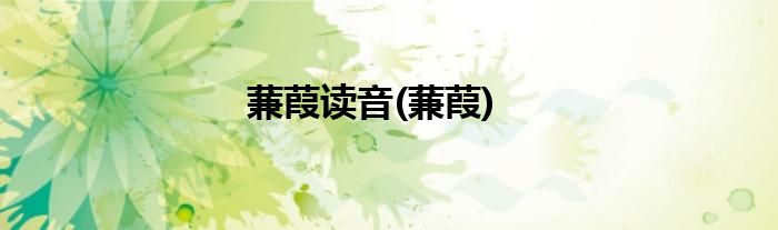 蒹葭读音(蒹葭)