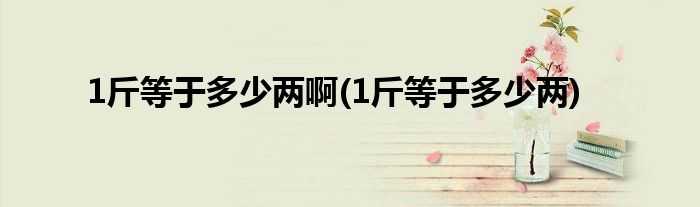 1斤等于多少两啊(1斤等于多少两)
